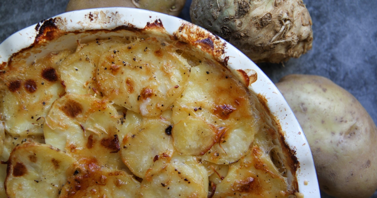 Potato and Celery Root Gratin FRESHFARM