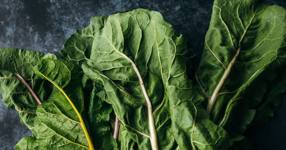Creamy Swiss Chard & Tomato Pasta – FRESHFARM