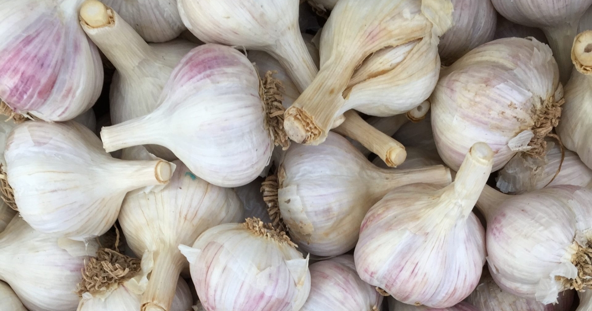 Garlic Herb Bread – FRESHFARM