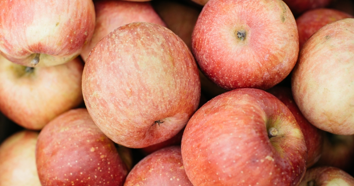 Wild Rice Salad with Apples & Dried Cranberries – FRESHFARM