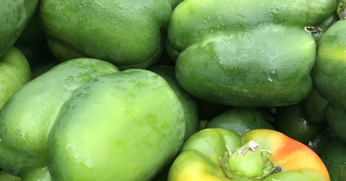 Bean & Vegetable Chili – FRESHFARM