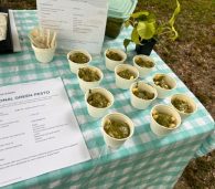 Community engagement activities include sampling easy seasonal recipes you can make at home.