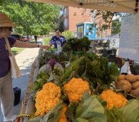 Neighbors shopping at a FRESHFARM school farm stand