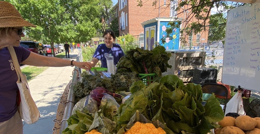 Neighbors shopping at a FRESHFARM school farm stand