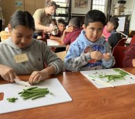 Students engaged in joyful, hands-on learning in a FoodPrints class room