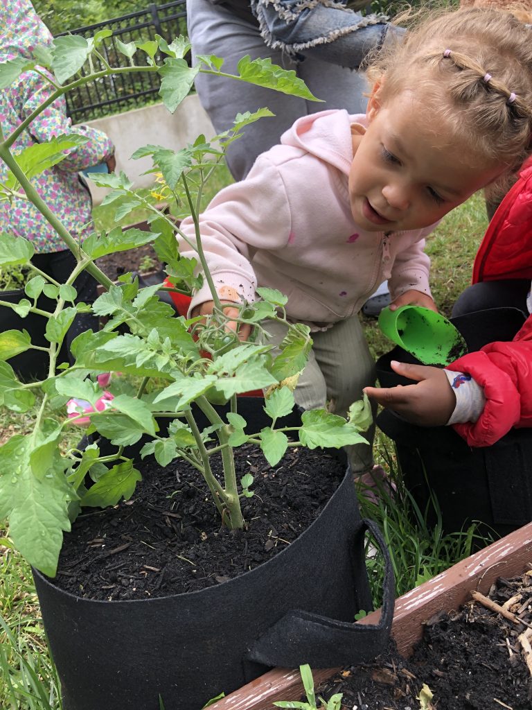 Early Childhood Education student explores the garden. 