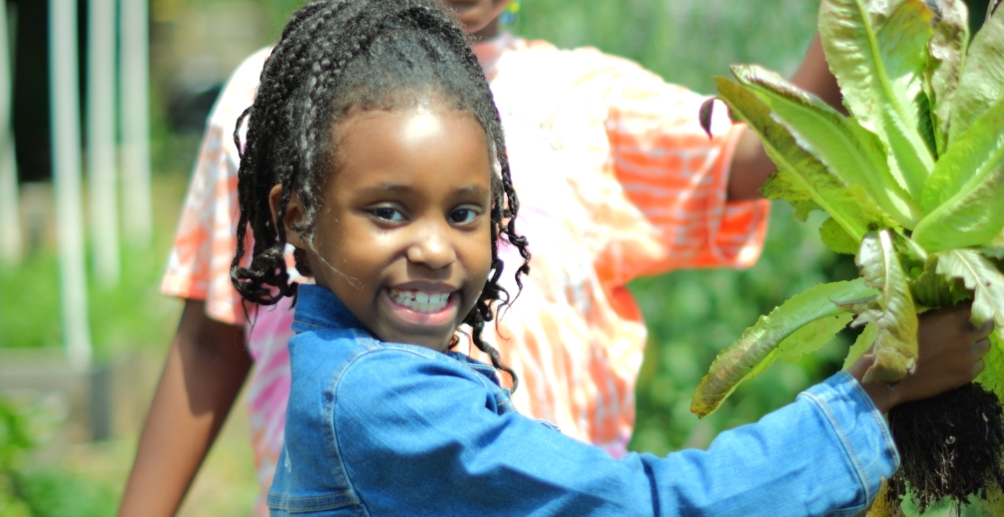 FoodPrints student harvesting lettuce in a school garden. Hero image for the 2024 Annual Report
