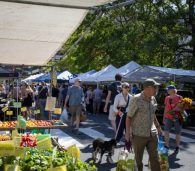 The FRESHFARM Arlington Market Expands