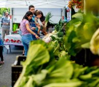 Family shopping at a farmers market Food is medicine Produce prescription